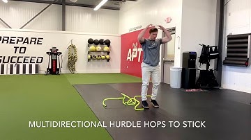 MULTIDIRECTIONAL HURDLE HOPS TO STICK