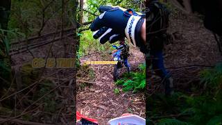 We Found Something On Overgrown Track