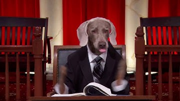 Blueford v. Arkansas: Oral Argument - February 22, 2012