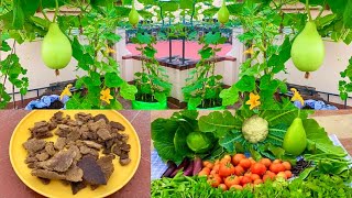 2 Best Method To Make Mustard Cake Fertilizerwhat Protective Measures To Be Taken While Using It ?