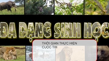 Giáo án powerpoint Bài 22: Sự đa dạng của thế giới sinh vật | GA điện tử Địa lí 6 Cánh diều