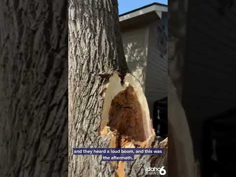 Severe weather causing damage across Treasure Valley