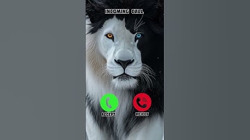 Best OPPO Mobile ringtone 🤙😎 #smartphone #ringtone #phonecall #ringtones #tech #video #audio