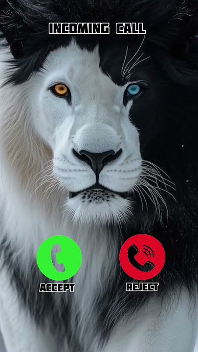 Best OPPO Mobile ringtone 🤙😎 #smartphone #ringtone #phonecall #ringtones #tech #video #audio