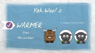 Yak Wool vs. Merino Wool