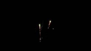 Mega Mini - Dominator - www.pyrobug.com