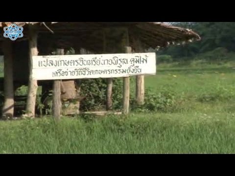 ปรัชญาของเศรษฐกิจพอเพียง วิทยาศาสตร์ ม.3