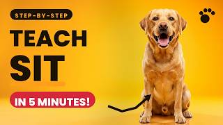 How to Train Your Dog to Sit in 5 Minutes a Day (Step-by-Step Guide) screenshot 4