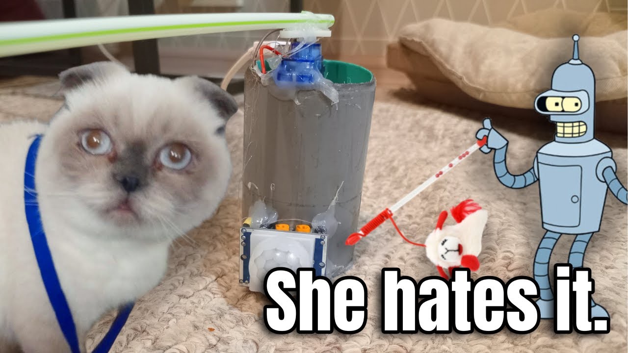 I Built a Motion-Activated Cat Toy (My Cat Was NOT Impressed)