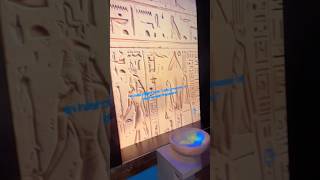Life, Nature &amp; Health #familyvlog #abeesha #visitqatar #shorts #trending #shortvideo #reels