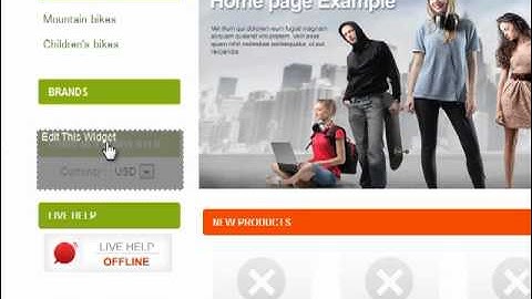 AShop Ecommerce Shopping Cart Software Demo