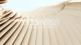 SINGULARIS - ROOF