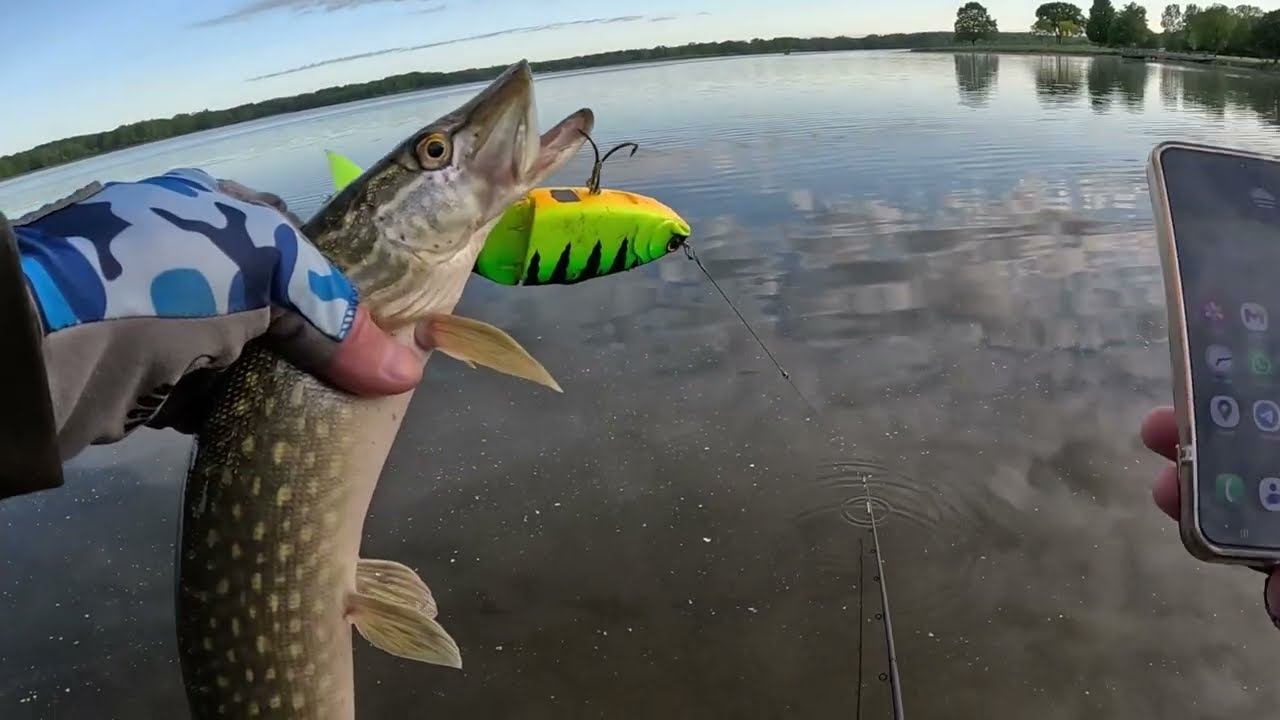 Рибалка на щуку і баса.