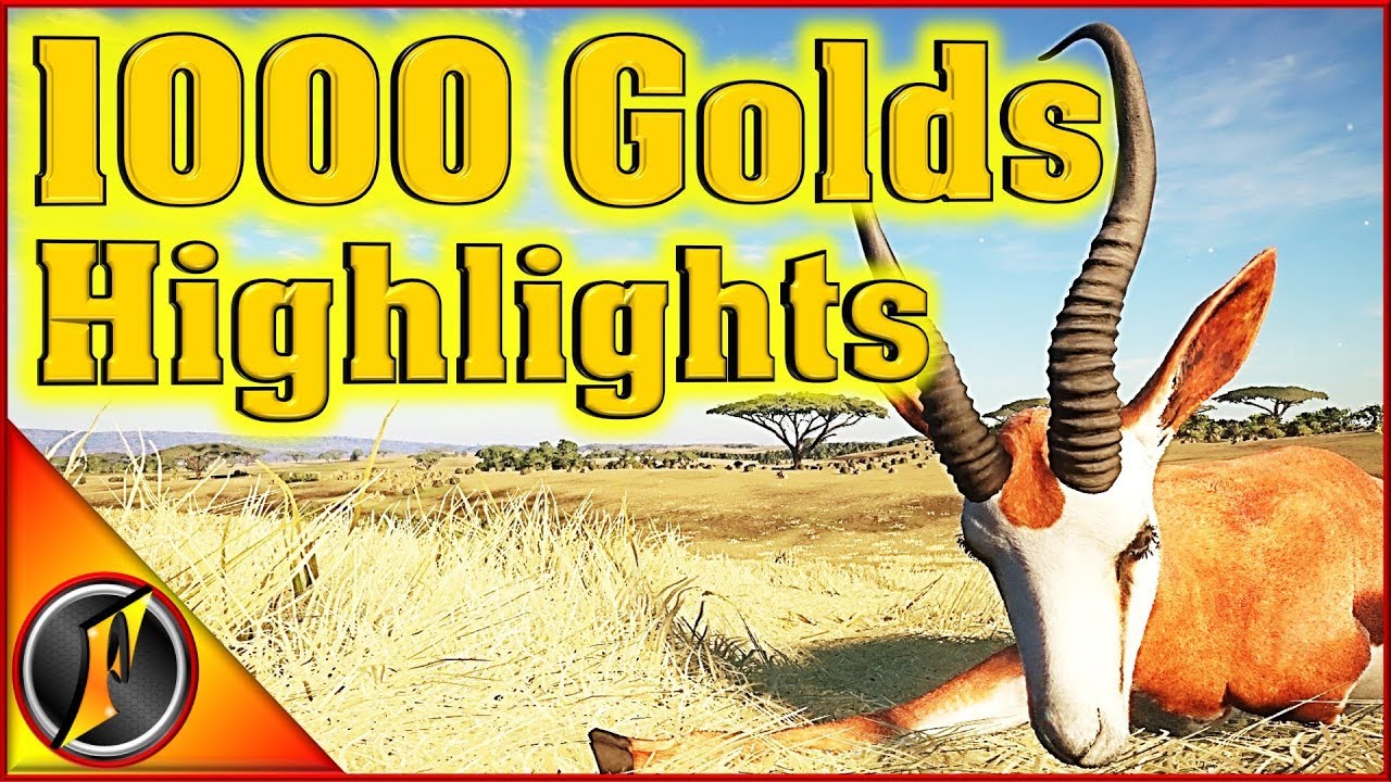 Антифриз gold stream