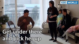 Get under there and pick her up (Dogs are incredible EP.116-5) | KBS WORLD TV 220405