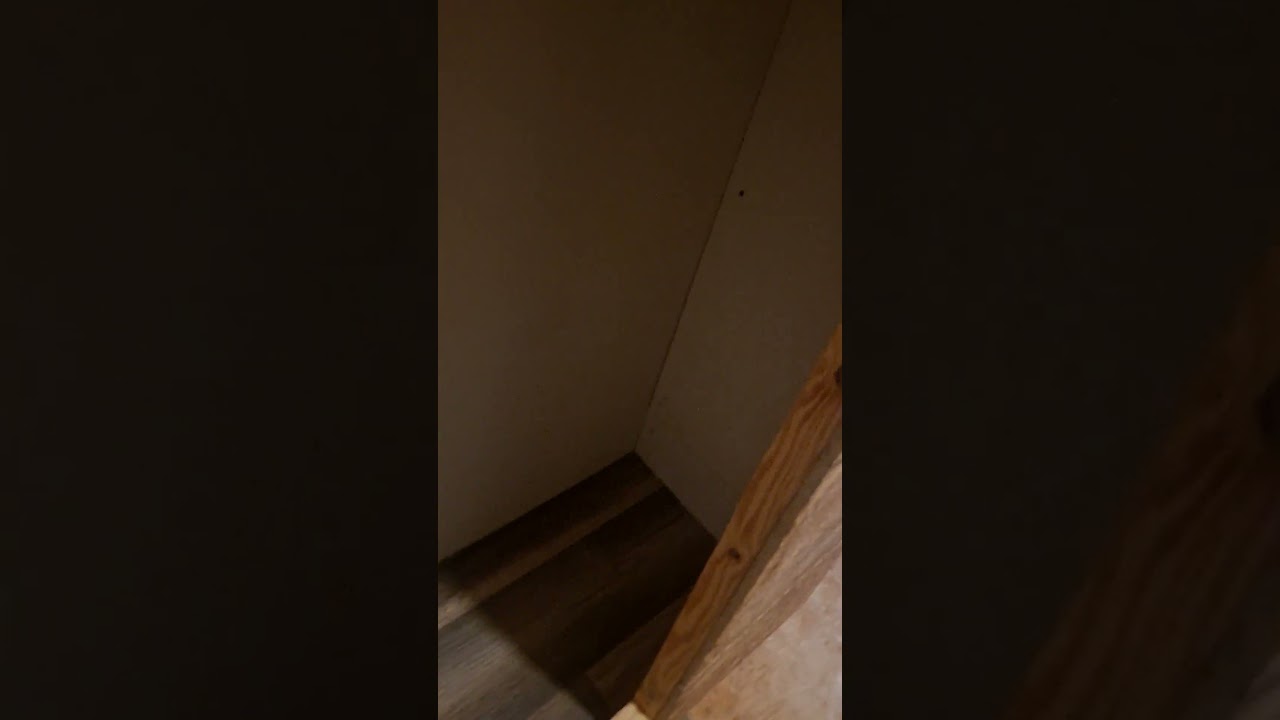 New closet for seedlings & clones