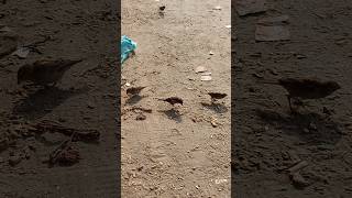 সবর রজক আললহর হত মদলললহ