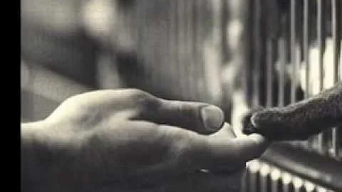 Robin Allison - Hands