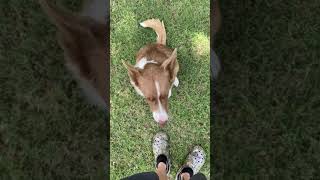 Wanda Training Week 2