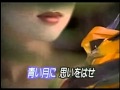 19900717 CARIBBEAN   中森明菜ZARD出演カラオケ映像