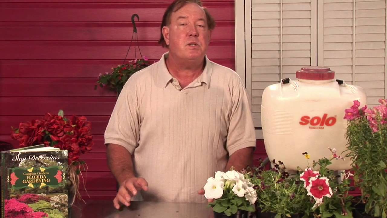 Flower & Plant Care : What Effect Does Temperature Have on Plants?