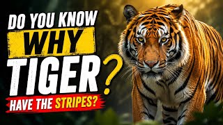 Why Do Tigers Have Stripes? The Secret Explained! 🐅