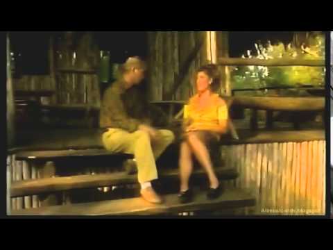 Bzn   Tonight   YouTube