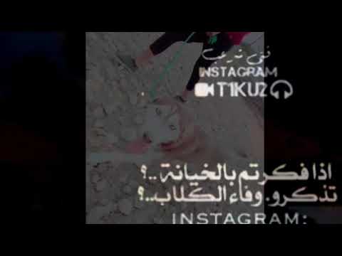 اذا فكرتو بلخيان تذكرو وفا الكلاب