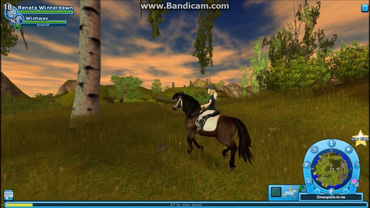 Star Stable - Maxing Wishway and Firefly - YouTube