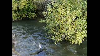 SENDERISMO, RUTA POR LA RIBERA DEL RÍO MERO, SIGRÁS - PRESA DE CECEBRE- SIGRÁS, 15 KM, CIRCULAR, 202