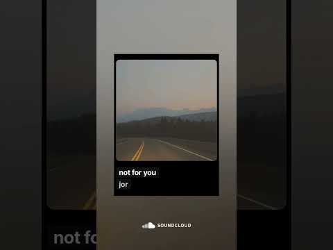 not for you - jor