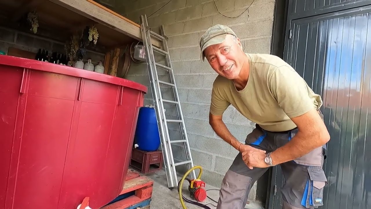 Como fazer vinho de qualidade