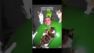 I added a parrot 👍