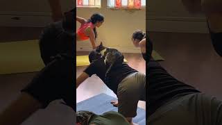 Affectionate Cat Licks Student During Cat Cafe Yoga