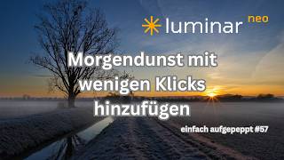 𝗟𝘂𝗺𝗶𝗻𝗮𝗿 𝗡𝗲𝗼 -Morgendunst hinzufügen I einfach aufgepeppt #57