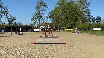 Improving the walk using pole exercises.