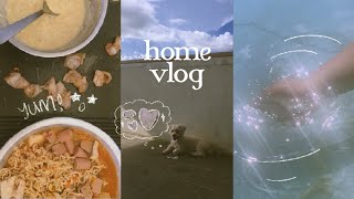 Home Vlog   Baking, Diy Dog Treats, Mini Pool Party, Samgyup