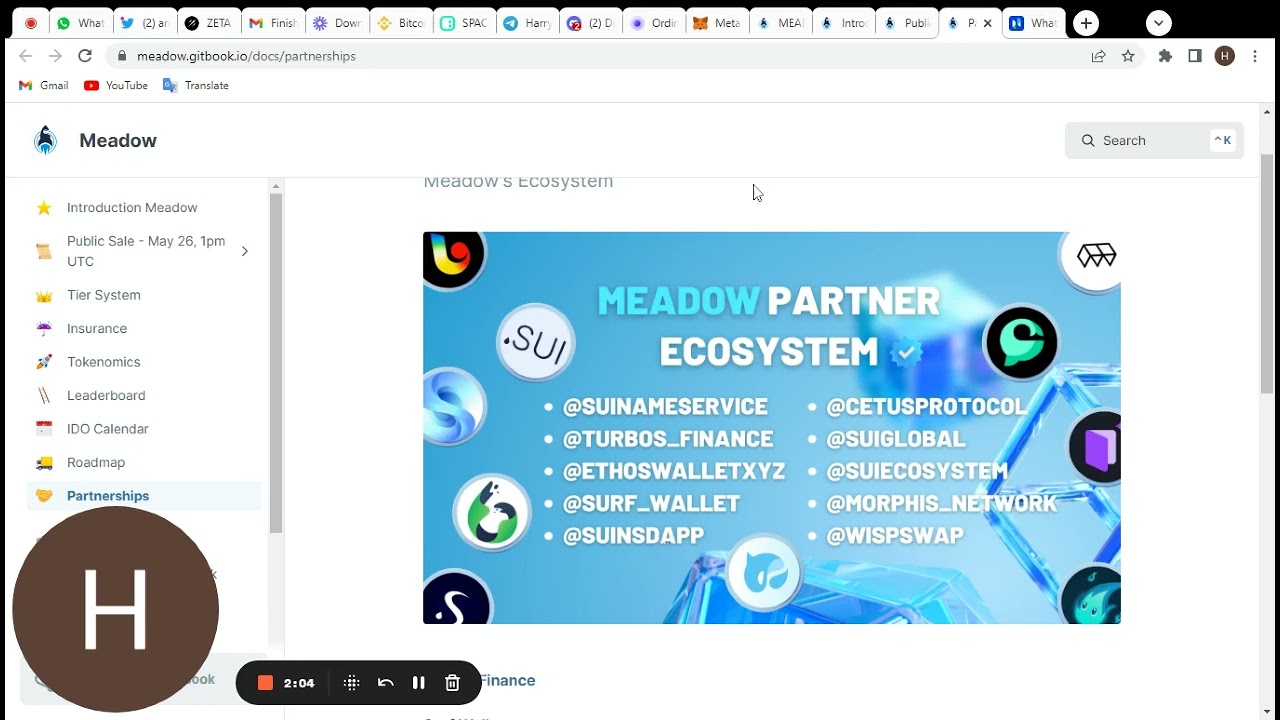 TOP CRYPTO LAUNCHPAD - MEADOW LAUNCH