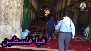 جوله في المسجد الاقصى على نغم انشوده رائعه مشاهده ممتعه احبابي مساكم رضا الله???