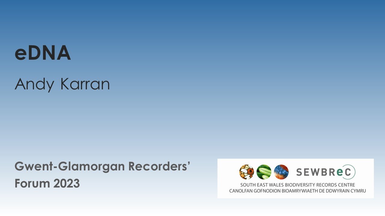 eDNA (Andy Karran, Gwent Wildlife Trust)