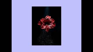 Seedream 5.0 Pro: Editorial-Grade Photos Showcase [85/100]