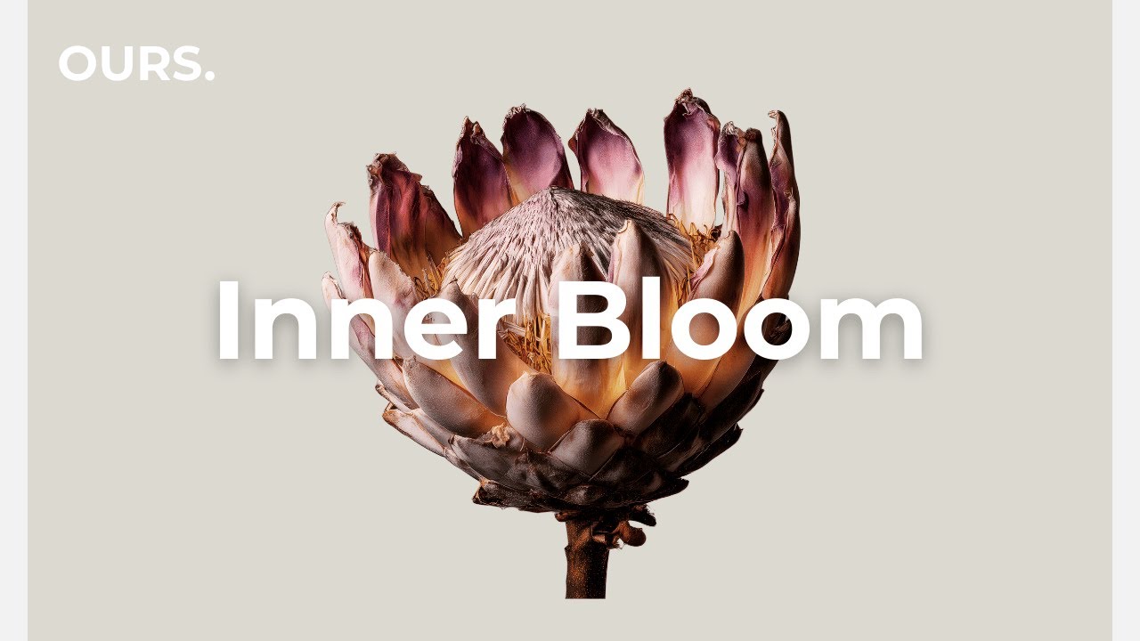 Gentle House Mix 🌿 Inner Bloom | Chill Electronica for Study, Work & Focus