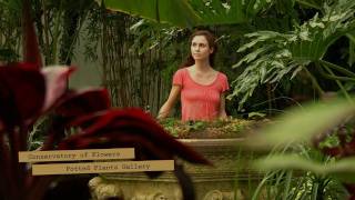 Nutcracker Guide: Conservatory of Flowers