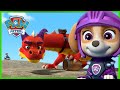 Rescue Knights Save the Baby Dragons 🏰- PAW Patrol Rescue Episode - Cartoons for Kids!