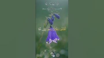 اتقتلون رجلا يقول ربي الله سورة غافر القارئ الشيخ خالد جليل #القران الكريم