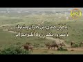 حزام الشدايد