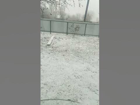 сніжок - YouTube
