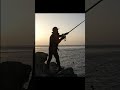 30kg級の超巨大魚を釣り上げた! #fishing #grouper #釣り