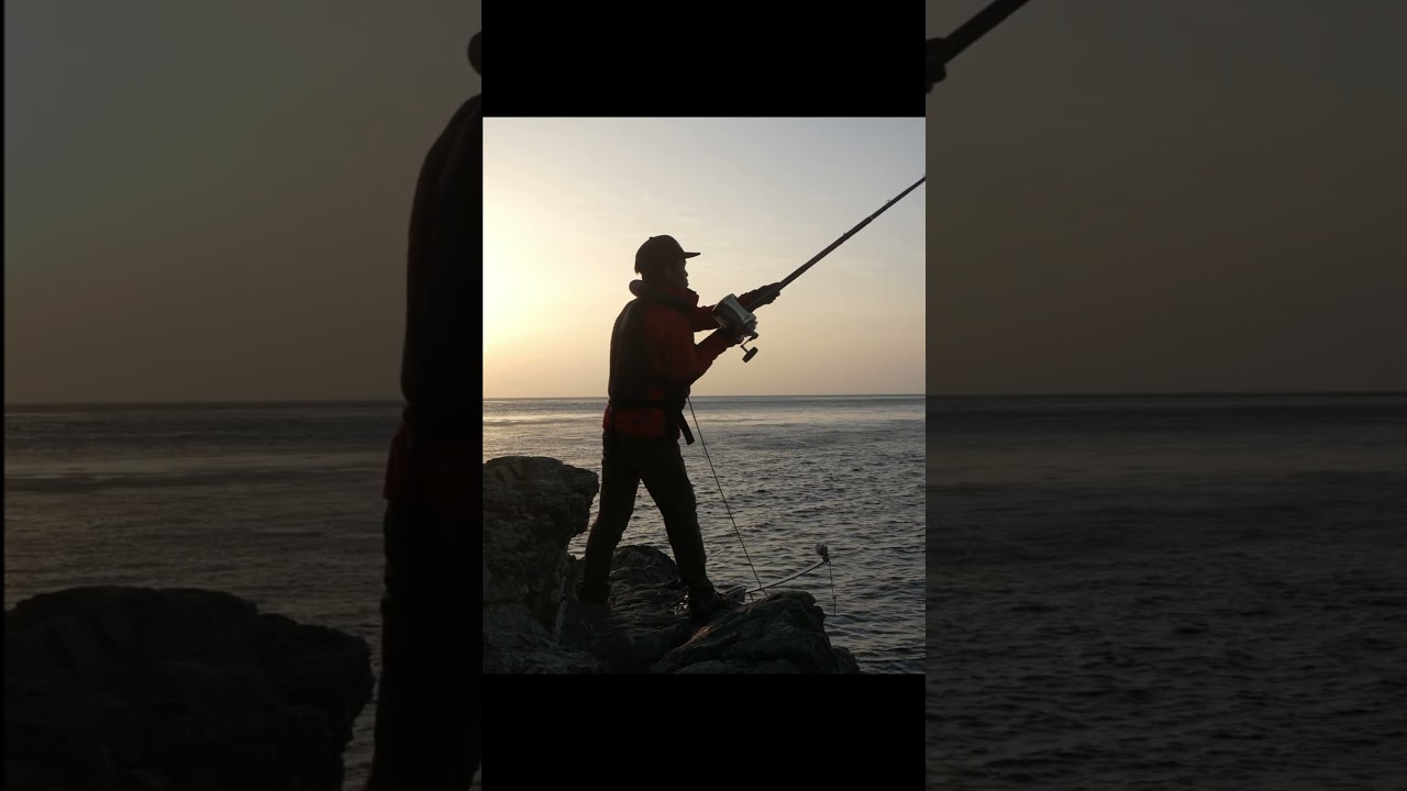 30kg級の超巨大魚を釣り上げた! #fishing #grouper #釣り