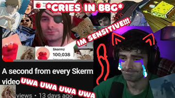 Skerms Reacting to "A Second from Every Skermz Video"